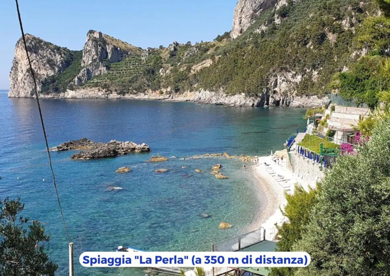 Siren Land - Marina Del Cantone Нерано Экстерьер фото
